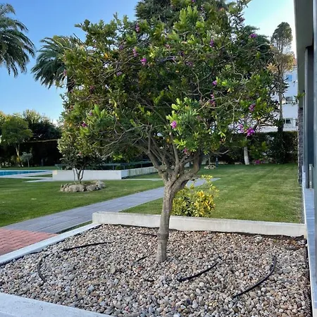 Vila Rosa Premium Flat דירה