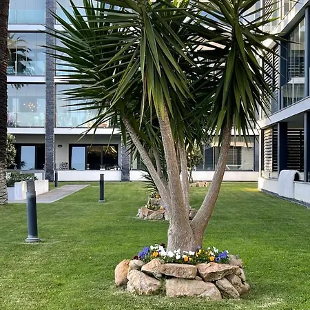 Appartamento Vila Rosa Premium Flat *